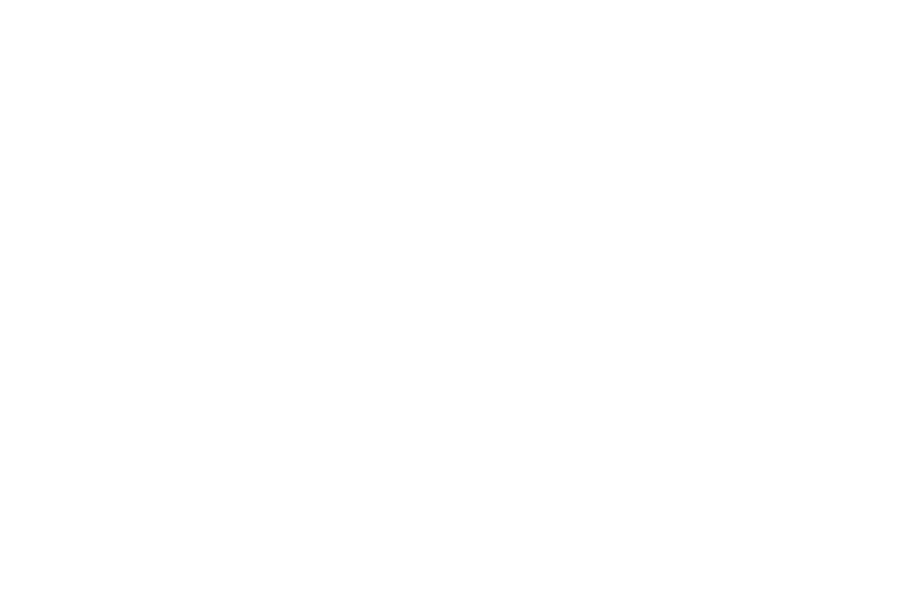 Cabo Mexican Cuisine